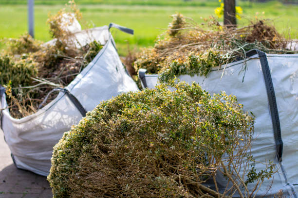 Attic Cleanout Services in Stillwater, MN